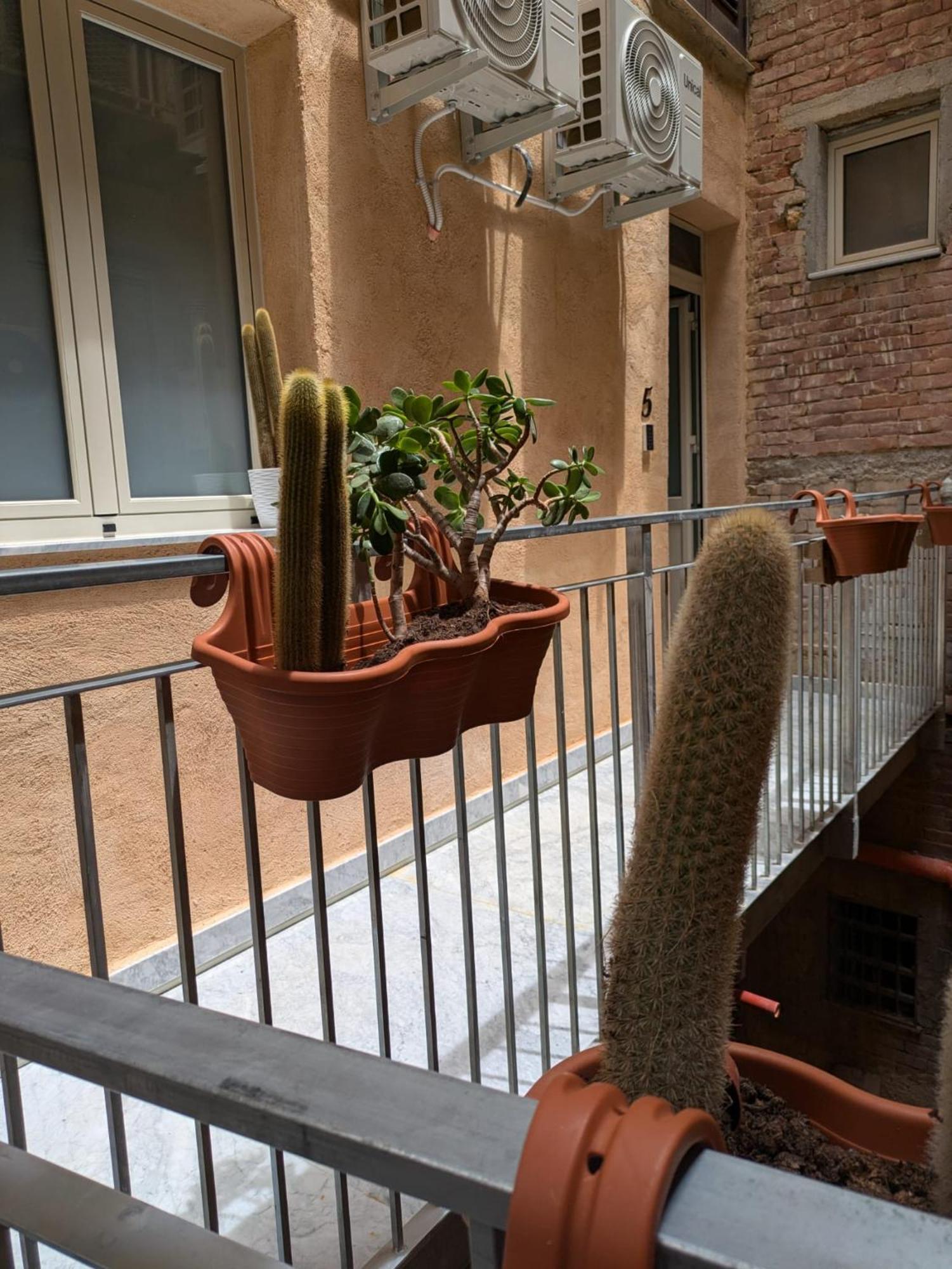 Casa Vella Apartment Agrigento Ngoại thất bức ảnh